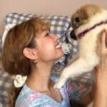 モデル・ぺこ(Peco)の保護犬・アリソンが可愛すぎー❢　保護犬の魅力を調査してみた！